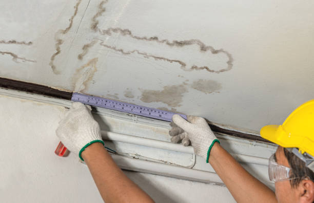 Reliable Burst Pipe Cleanup contractor in Somerville, NJ by Local Water Damage Repair